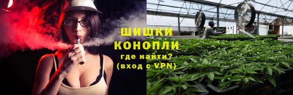 ПСИЛОЦИБИНОВЫЕ ГРИБЫ Бородино