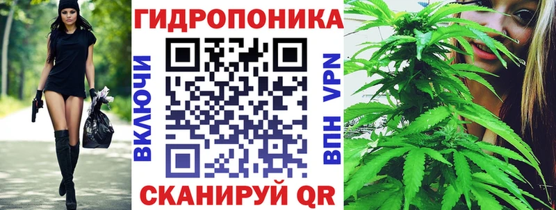 Бошки марихуана Ganja Ростов